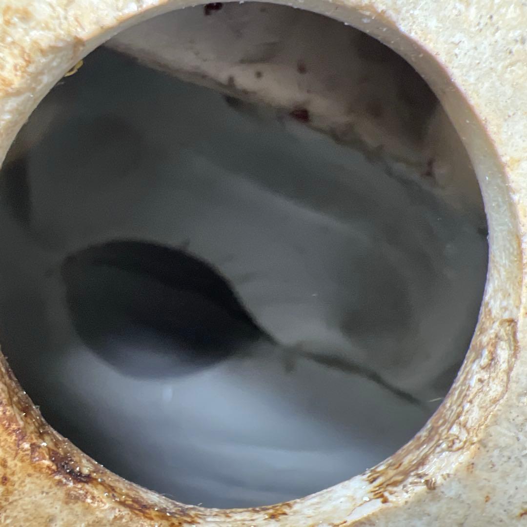 中国清時代 粉彩布袋 西江印 高さ約26㎝ 東Y7-1224