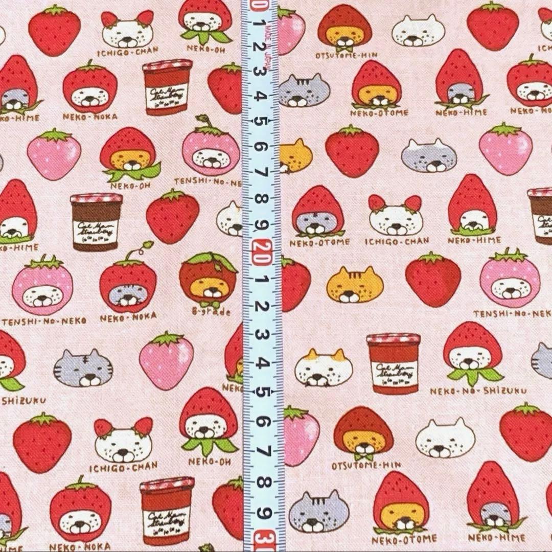 ❤︎ コットンこばやし「いちご猫」 ピンク ❤︎ コットンキャンバス