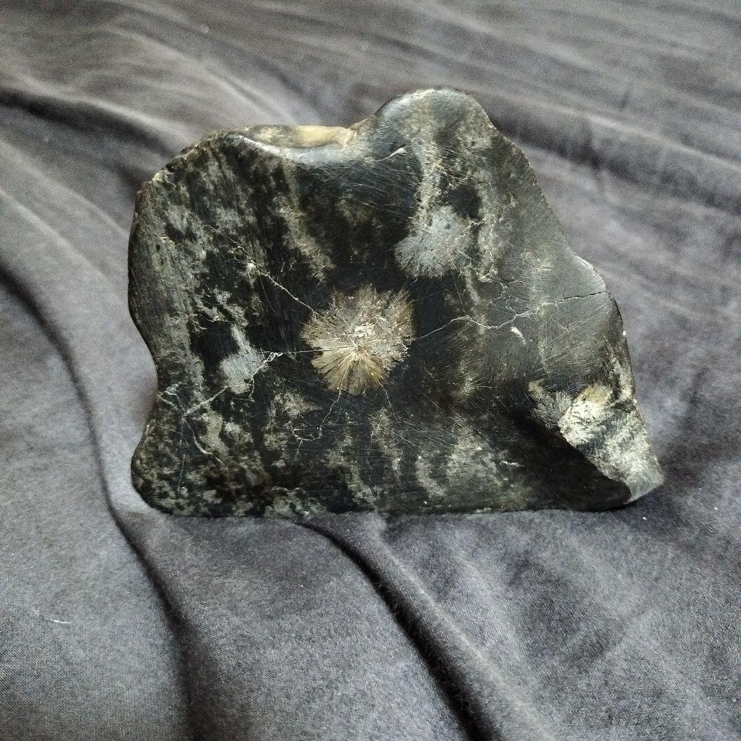 菊花石 化石模様の黒色石置物 - メルカリ
