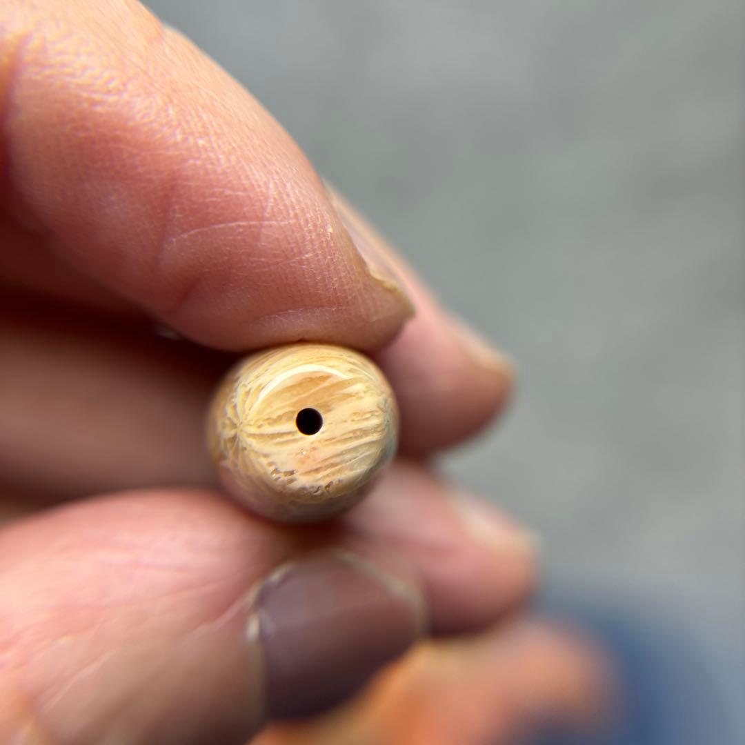 あずきちゃんフォッシルコーラル　天珠　1-311