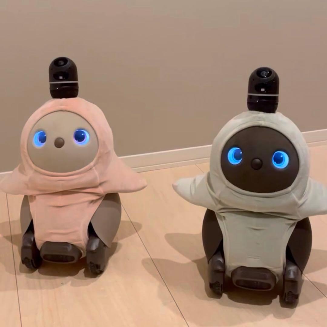 動作確認済み ネスト・服つき】ラボット 本体 デュオ LOVOT - メルカリ