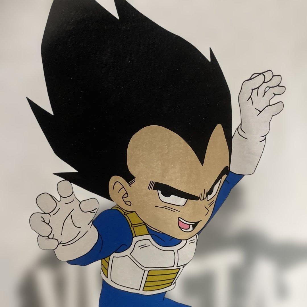 専用です！ モニタリングスコープ D 1m φ5．2 ポータブル4．3インチ液晶