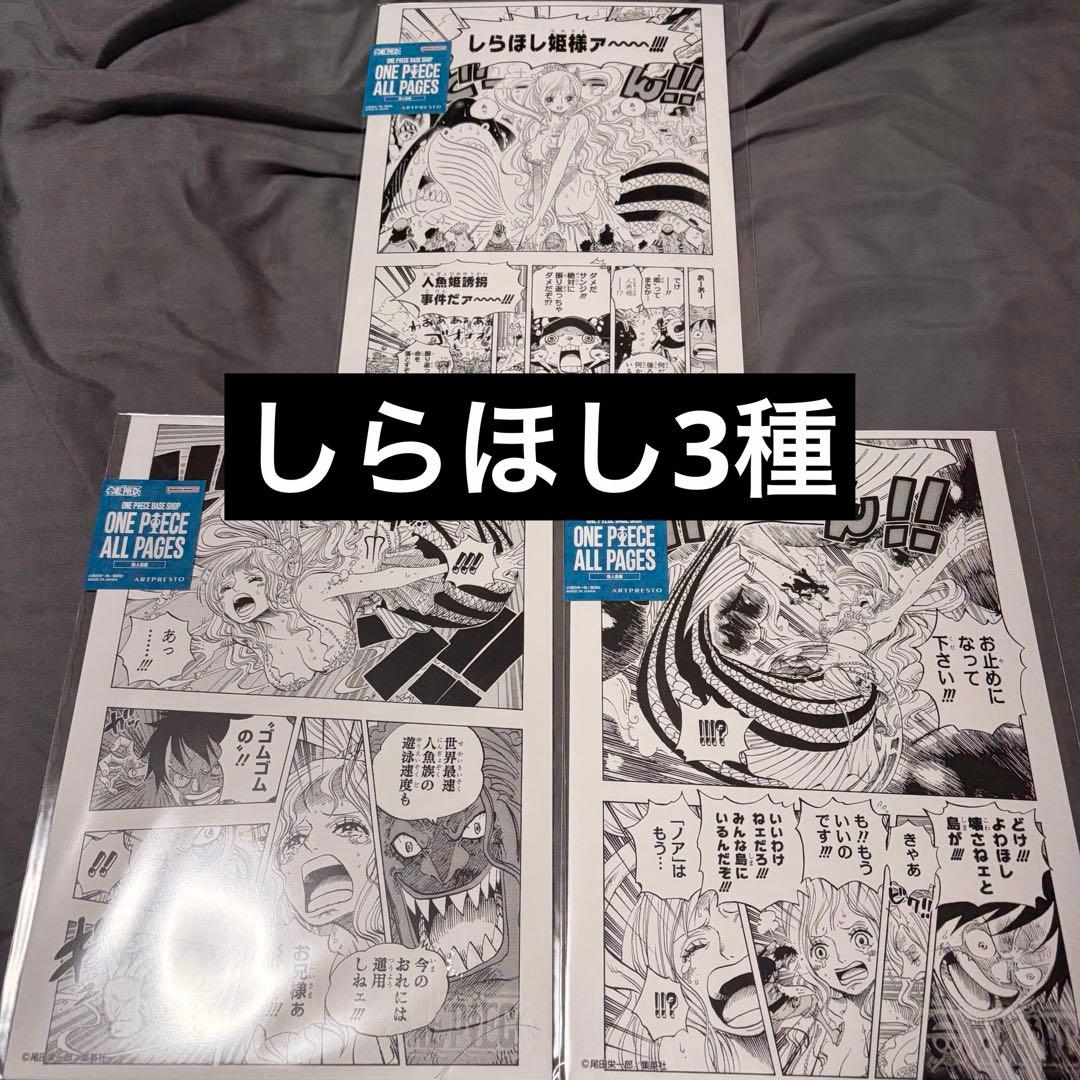 ONE PIECE ALL PAGES（B5） 魚人島編　しらほし　3枚セット ワンピース ベースショップ ALL PAGES 魚人島編 ルフィ しらほし姫
