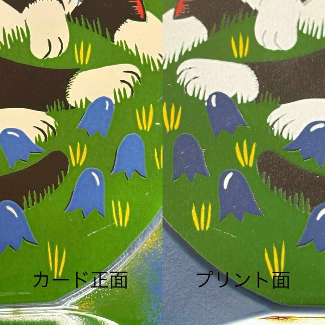 iittala ネコのガラスカード 