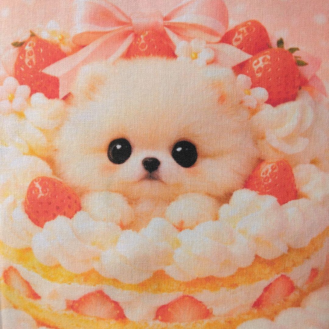 ☆受付☆ポメラニアン No.A