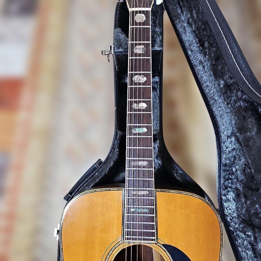 林楽器MOUNTAIN.W-500D1975年式 トップ単板、ハードケース付き - メルカリ