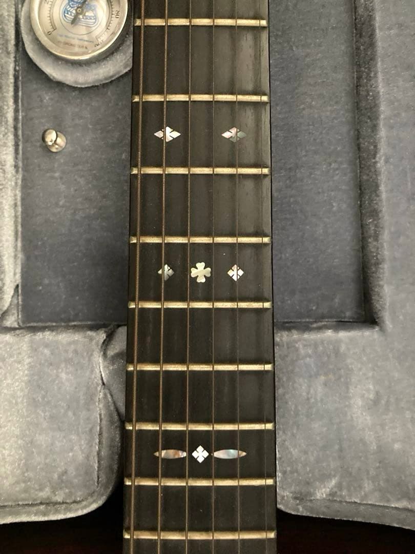 超レア、ヴィンテージギター ブルーリッジの限定モデル「BR-2060」価値