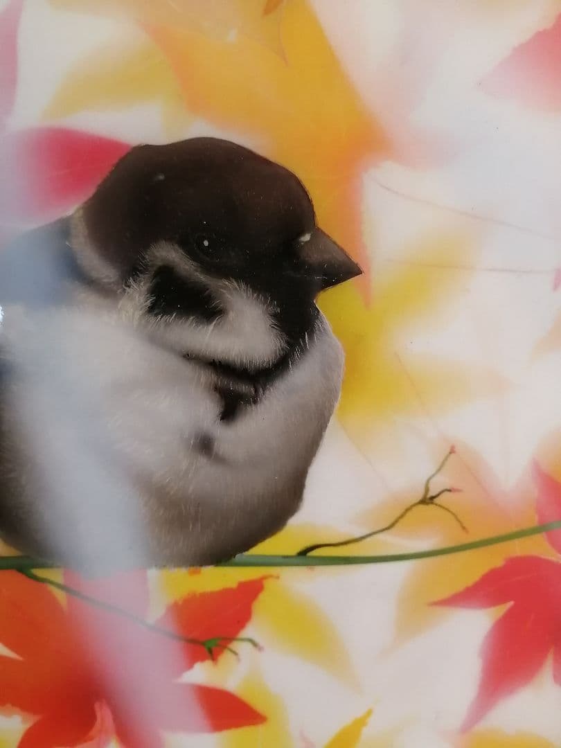 画家 西風 鷹 原画 秋の終わり