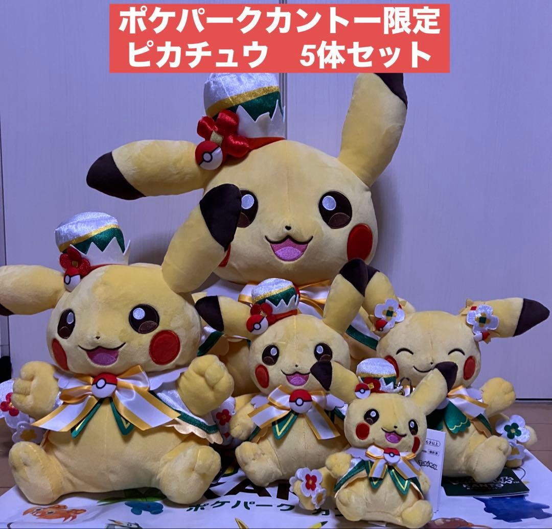 ポケパークカントー ショップ 限定 ピカチュウ ぬいぐるみ5体セット