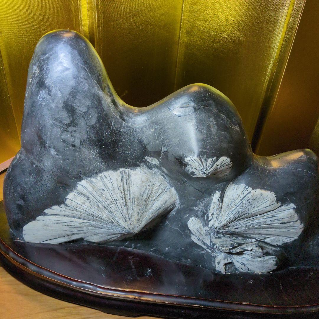 菊花石 16.4kg 根尾谷産 最高級位 自然石 専用台座付き 希少 レア