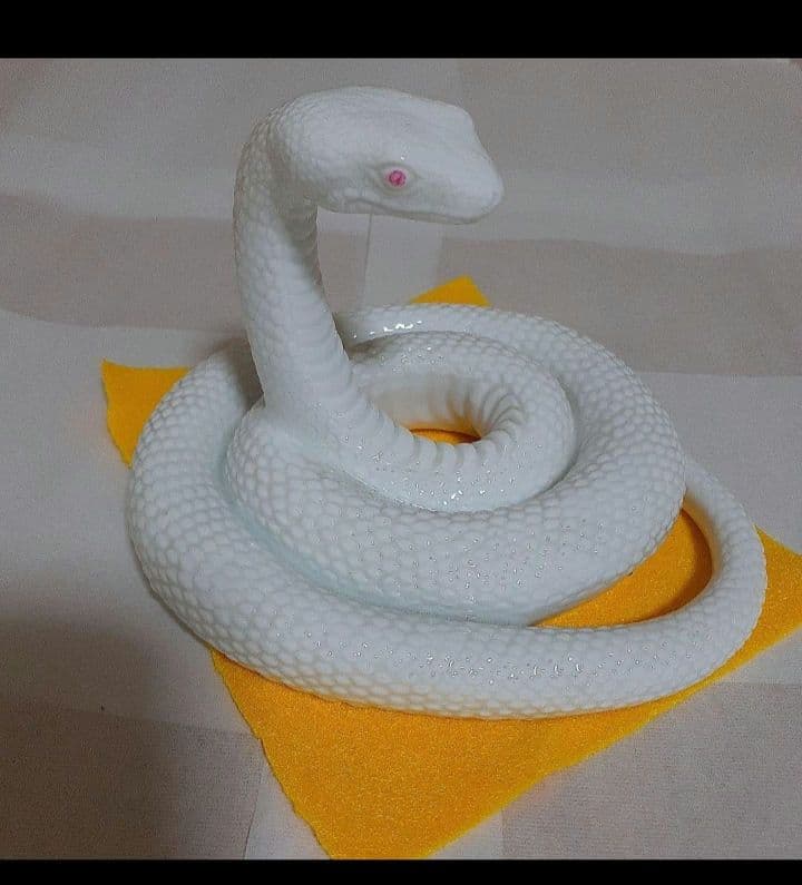 シロヘビ　白蛇　金運財運　巳神 楽天市場】☆実(巳)を結ぶ白蛇の億万長者カード ※財布やカバンの中に