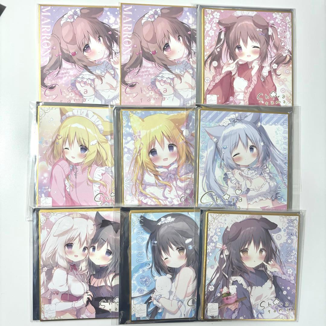 しらたま しらたまこ ミニ色紙 コミケ 個展 特典 あまいろショコラータ