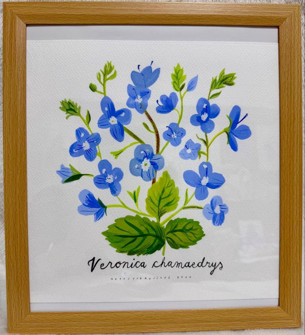 北欧　フィンランド　マッティ・ピックヤムサ　直筆水彩画　フレーム付き 楽天市場】フィンランドデザイナー マッティ・ピックヤムサ イラスト