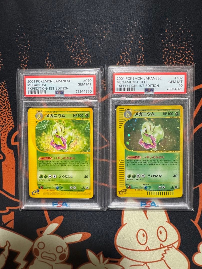 メガニウム　カードe PSA10 キラ　ノーマル　セット　連番 状態A-〕メガメガニウムex(ミラー)【-】{018/742} - カードラッシュ