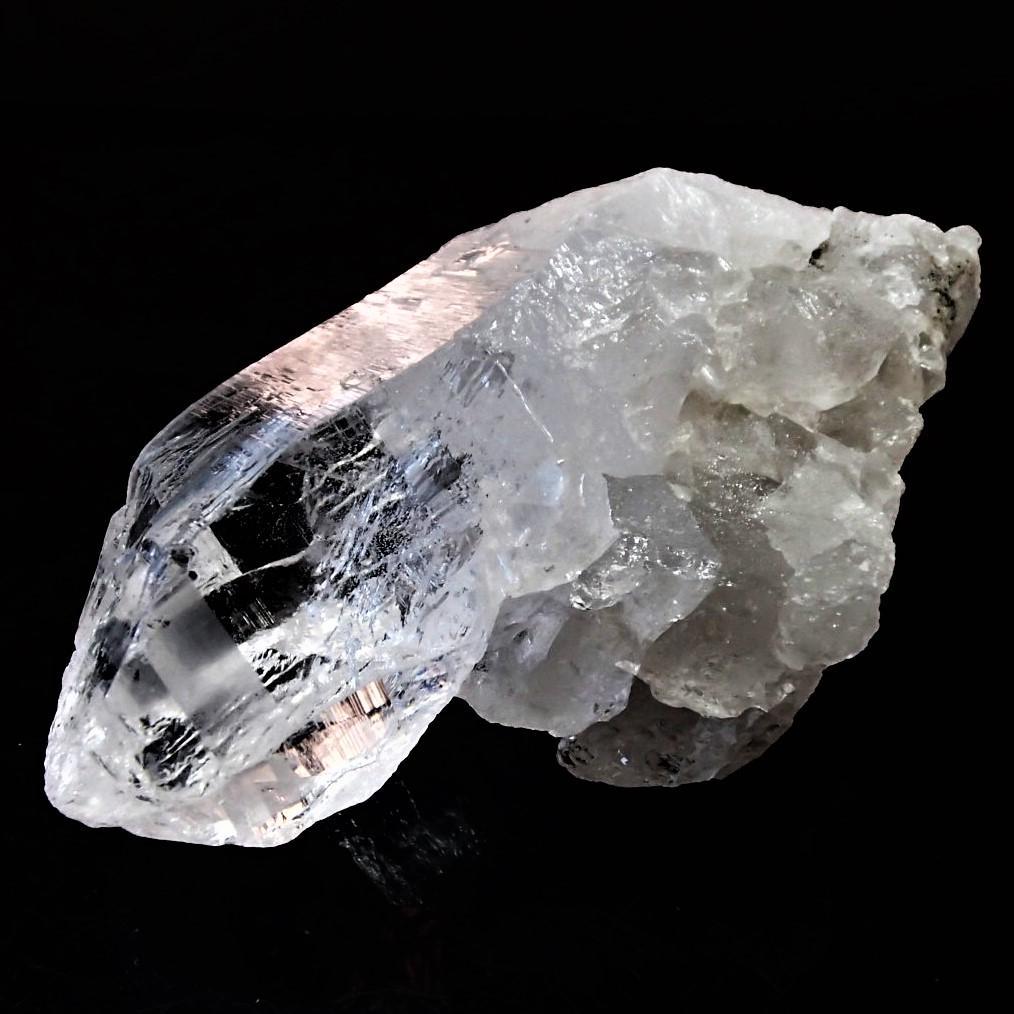 値下しました！ティップリン産ポイント-100-1 値下しました！ティップリン産ポイント-100-1