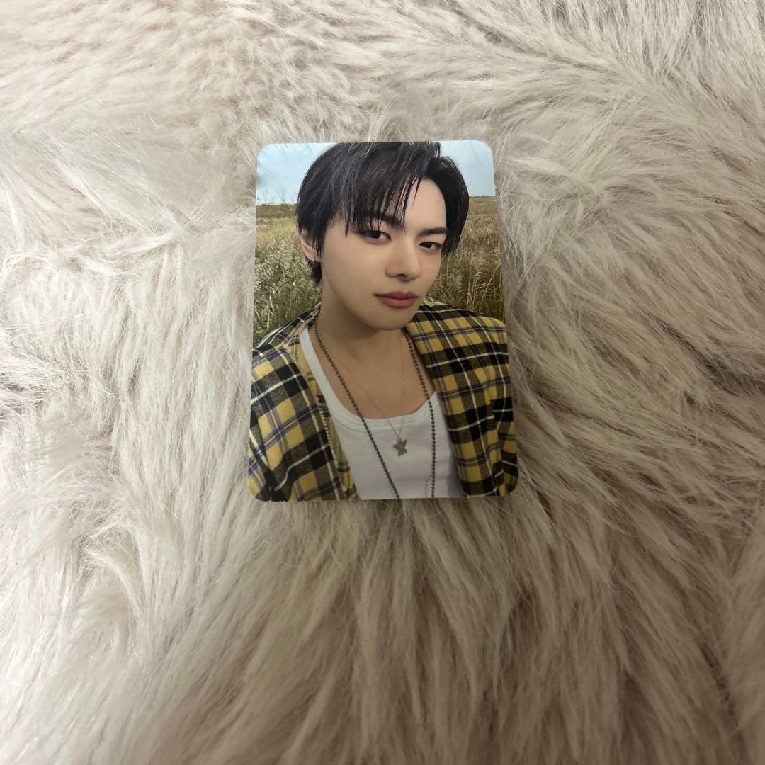 リオ ALPHADRIVEONE EUPHORIA トレカ - メルカリ