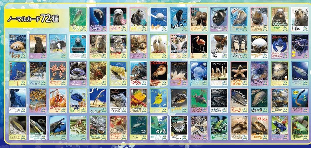 鳥羽水族館 70周年記念 コレクションカード キラちゃん - メルカリ