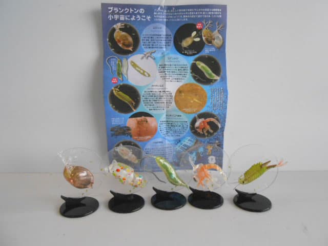 ♯Kri21Hz　カプセルQミクロコスモスプランクトン大全 全5種 Amazon.co.jp: 海洋堂カプセルQミュージアム ミクロコスモス