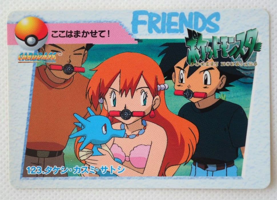 ポケットモンスターアニメコレクション カードダス 123◇タケシ