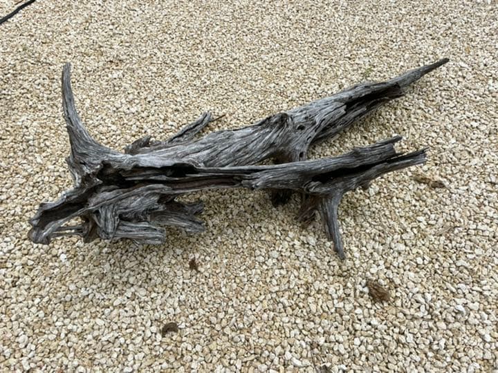 流木 流木の定義 日本流木協会