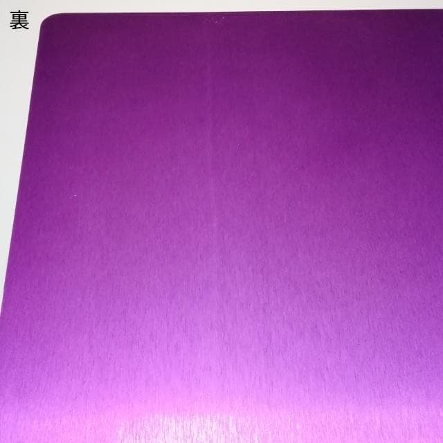 ニコラ・テスラ ポジティブエナジー・パープルプレート L 電磁波対策