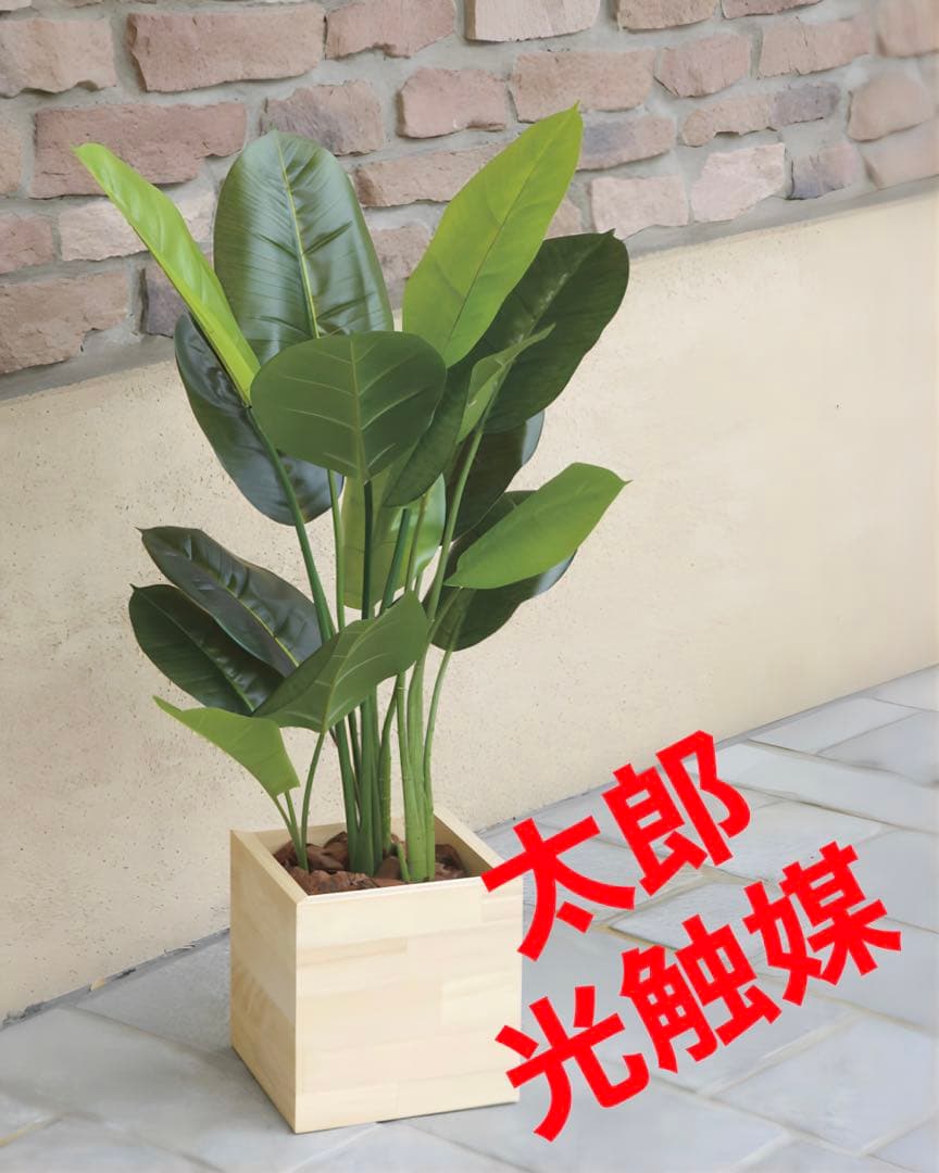 光触媒　人工観葉植物　ウォールグリーン　ウッドボックススキンダプサス85 光触媒 人工観葉植物 ウォールグリーン フェイクグリーン 壁掛けウッド