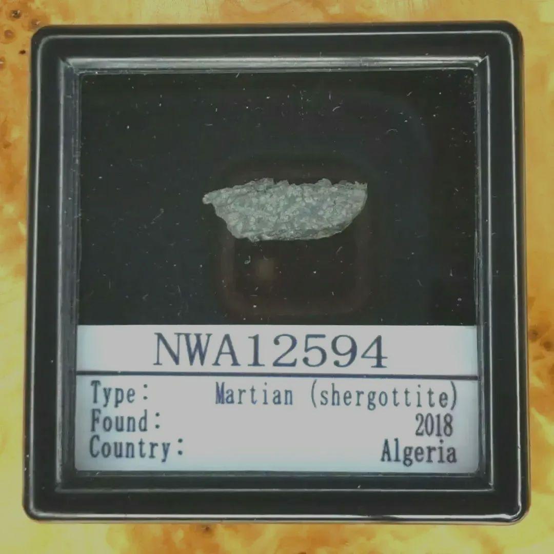 ✨火星の石！シャーッゴッタイト　 NWA 12594　隕石標本 NWA 12564 火星隕石(Shergottite) 891 31.37g - 鉱物標本・隕石標本