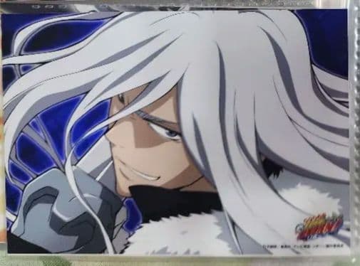 家庭教師ヒットマンREBORN　10年後スペルビスクアーロ　JF限定ブロマイド 家庭教師ヒットマンREBORN!_描き下ろし スペルビ・スクアーロ（10年後