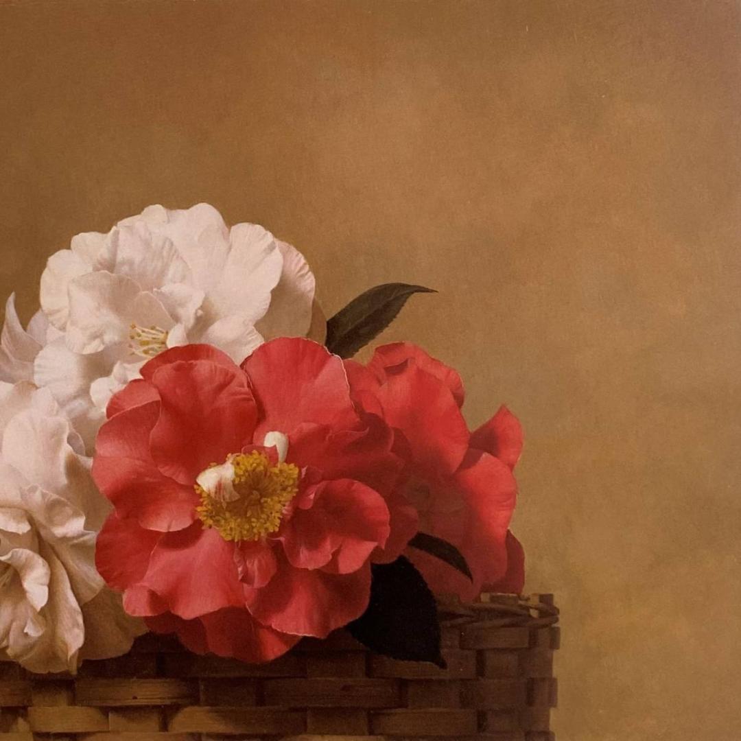 森本草介、【椿】、希少な画集より、新品額装付、マット額装付き