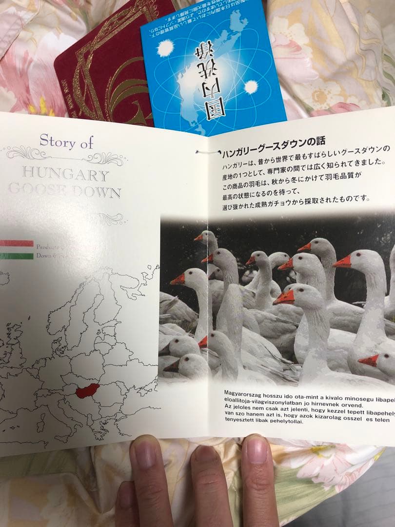 羽毛布団　ダウン93% 1.8kg ハンガリー産ホワイトグース　花柄　ダブル