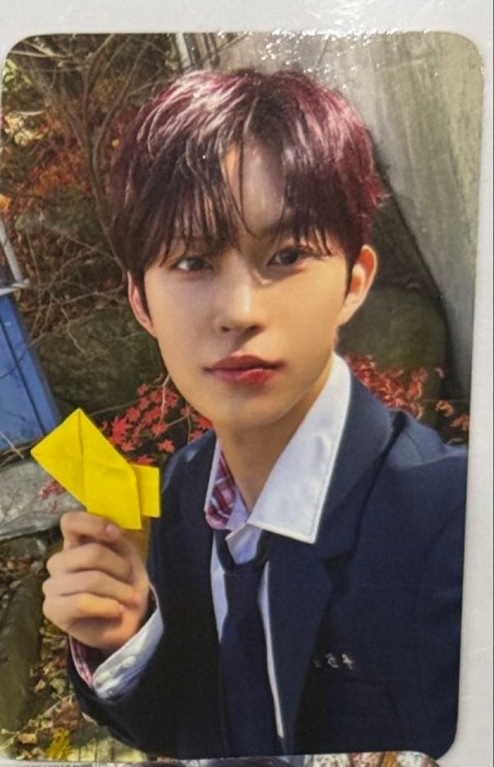 ALD1 サノク トレカ デビューショーケース ショケ ゴヌ - メルカリ