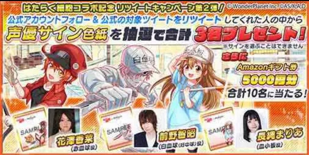 はたらく細胞 クラッシュフィーバー 当選品 直筆サイン 色紙 白血球 前野智昭 はたらく細胞」花澤香菜＆前野智昭がパーソナリティ担当！ ＜音泉＞で