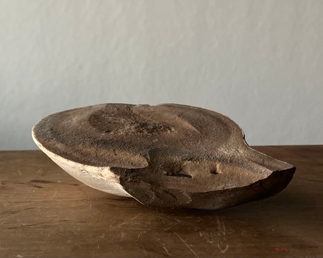 まるで惑星、魚類の糞化石 更新世 コプロライト】日本産うんち化石自然