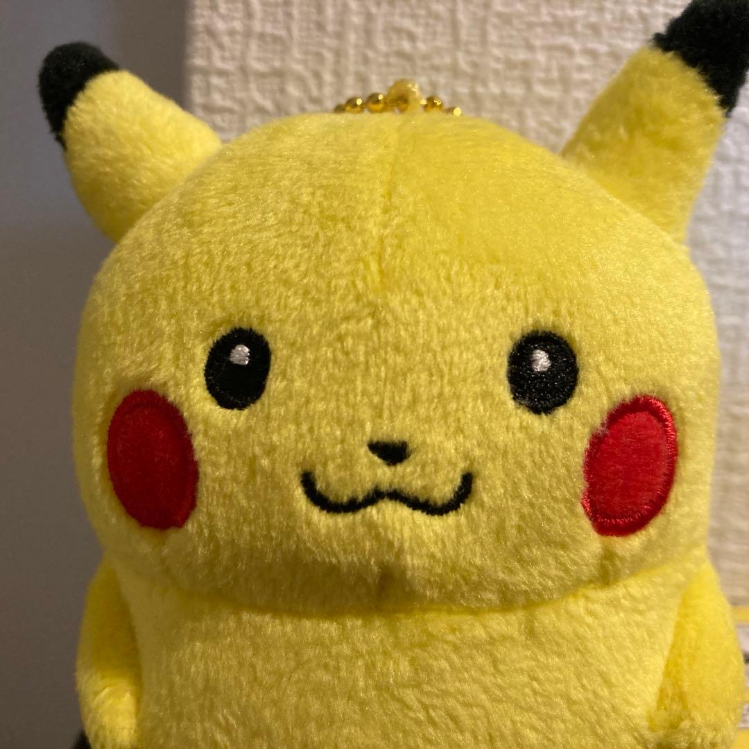 24じかんポケモンchu ナガノ ピカチュウ マスコット - メルカリ