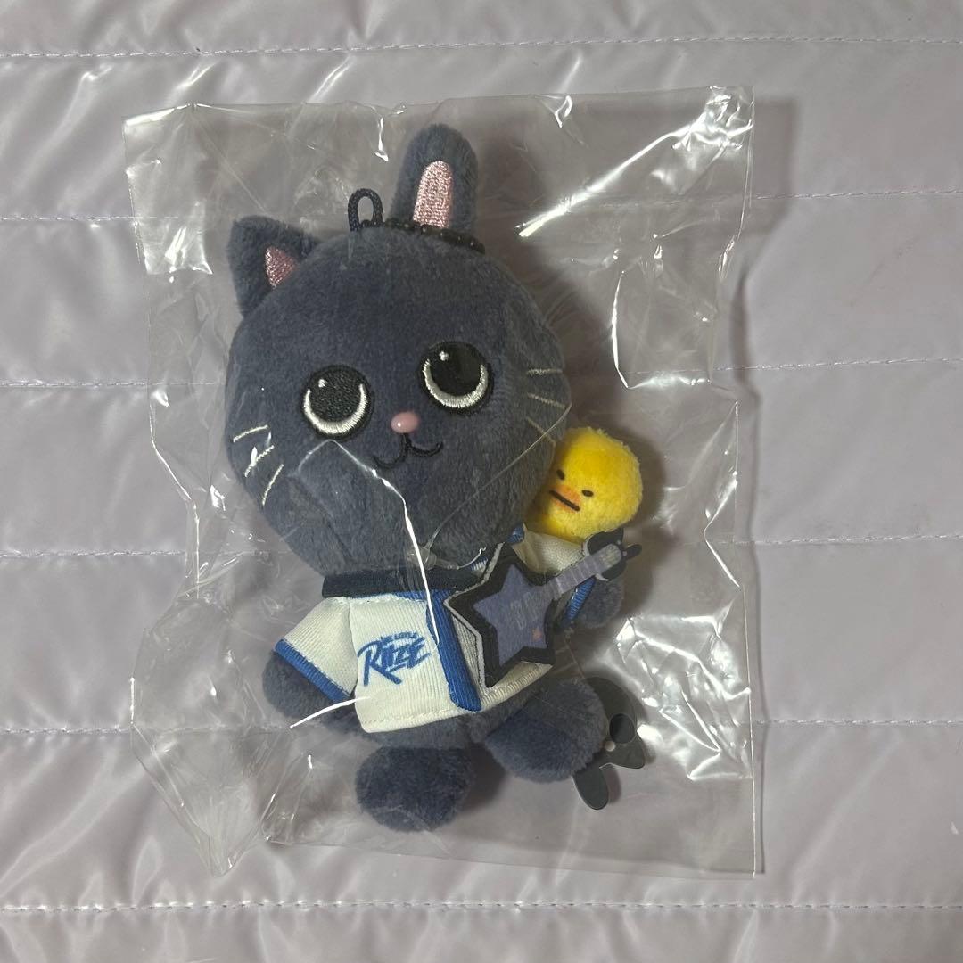 RIIZE ウォンビン ポップアップ トニャンドク キーリング - メルカリ