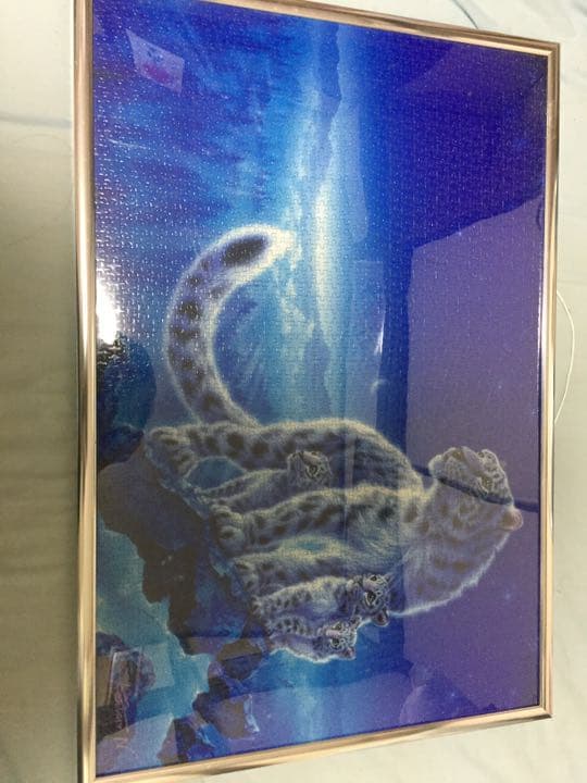 ジグソーパズル ホワイトタイガー EPO-71-687 ペット・動物 The Zoological Garden ～言葉のない対話