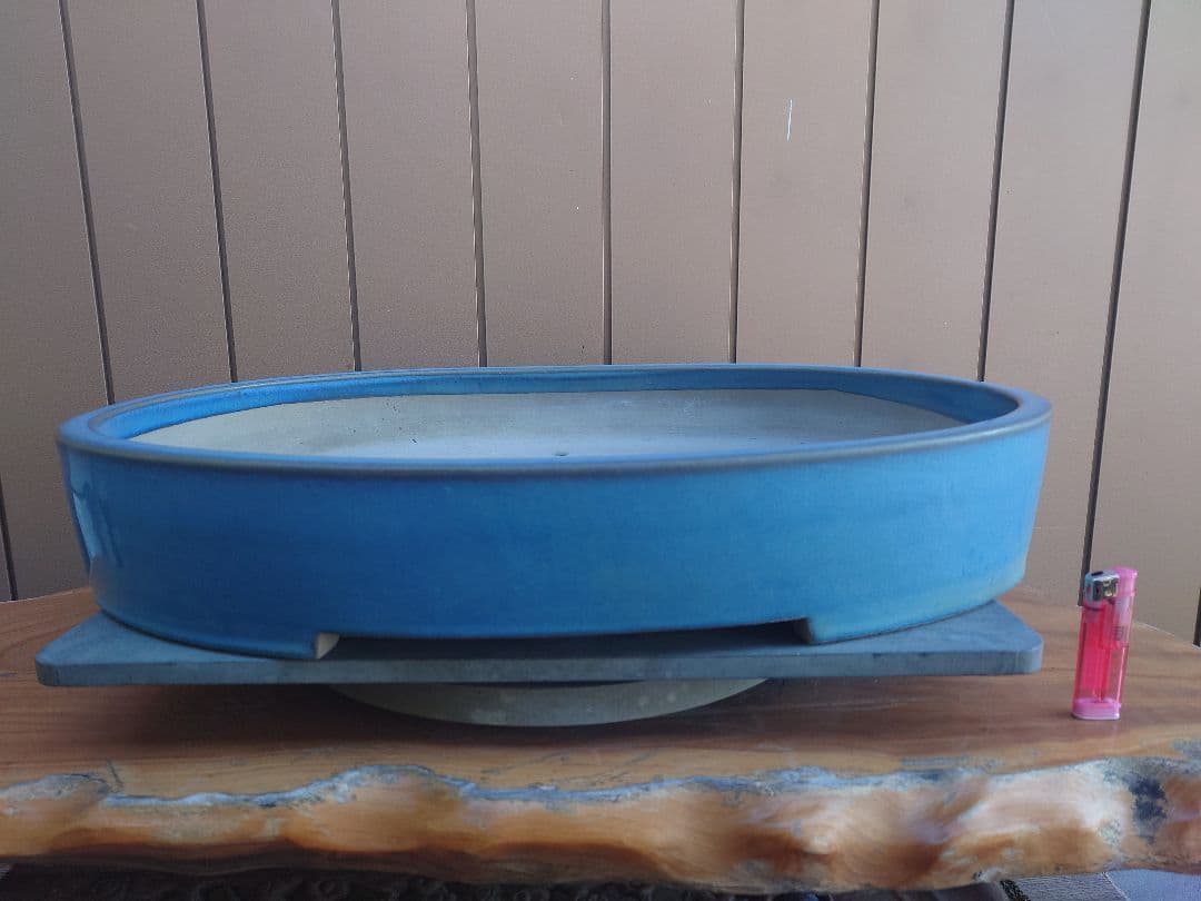 盆栽　鉢　真山造　幅62.2cm Yahoo!オークション -「真山」(盆栽) の落札相場・落札価格