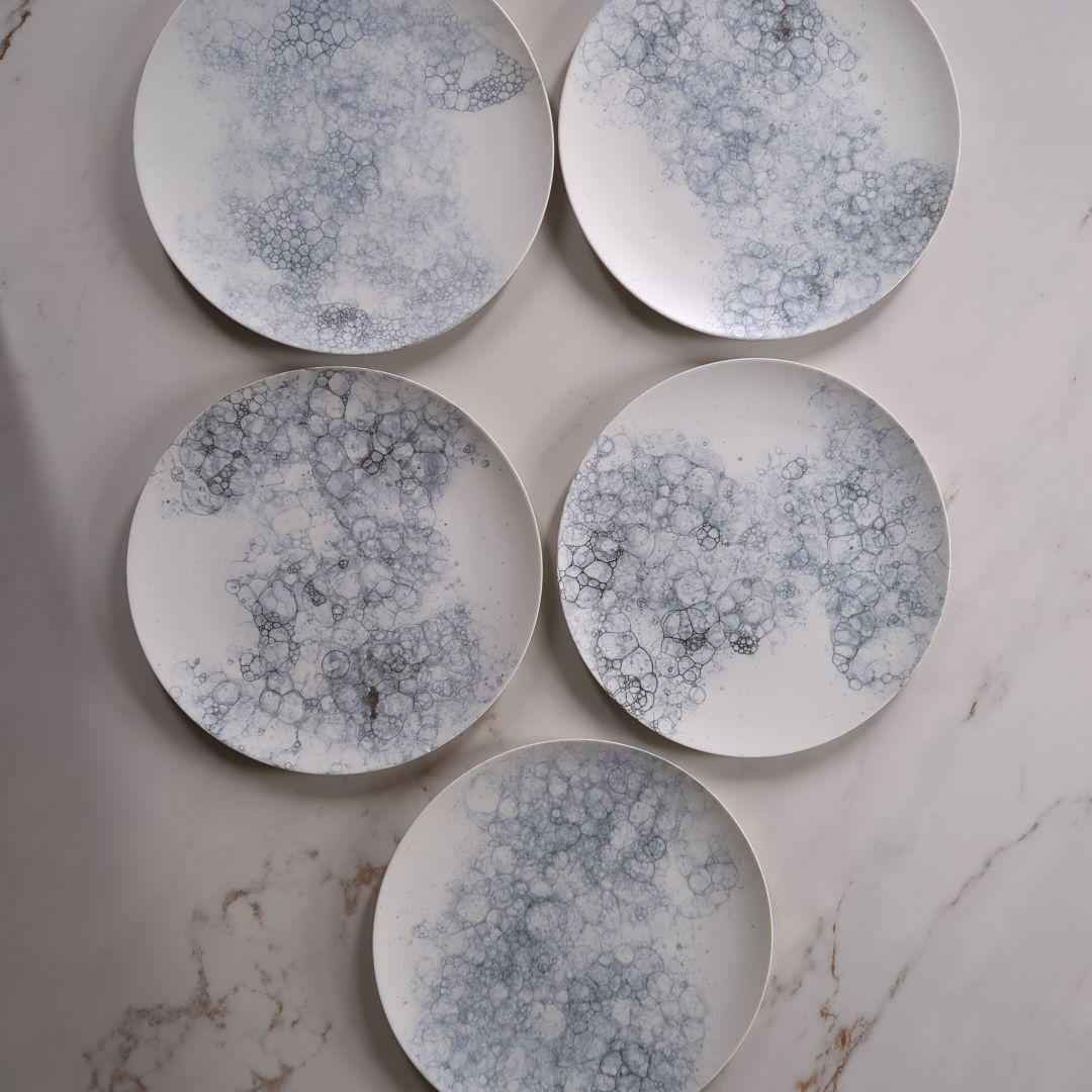 HIBINO エキュー厶28cm プレート　5枚セット HIBINO エキュー厶28cm プレート 5枚セット