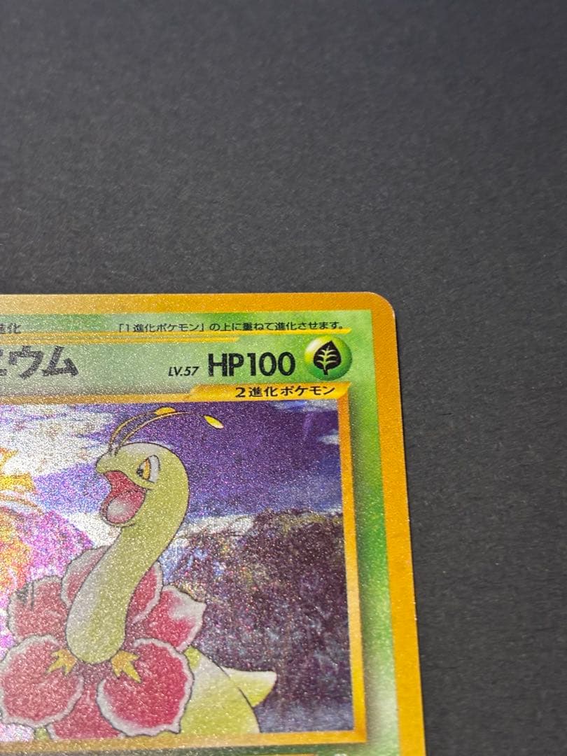 ポケモンカード ポケカ 旧裏面 No.154 ☆ メガニウム LV.57 キラ