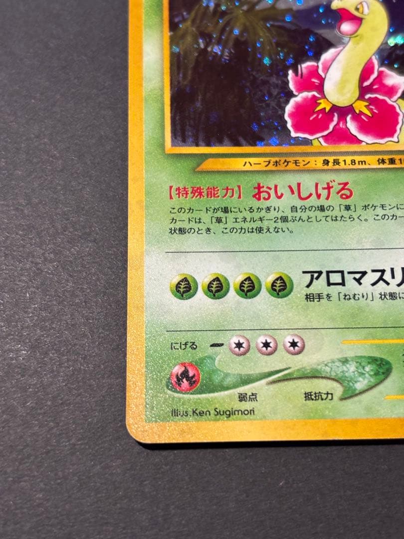 ポケモンカード ポケカ 旧裏面 No.154 ☆ メガニウム LV.57 キラ