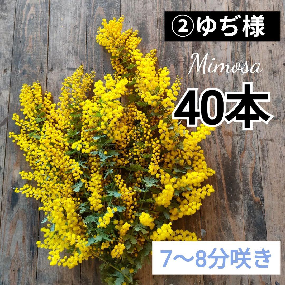 ②7〜8分咲き ゆぢページ 株分け出来る！八重咲き！カリブラコア ティフォシーダブル 『ピーチ