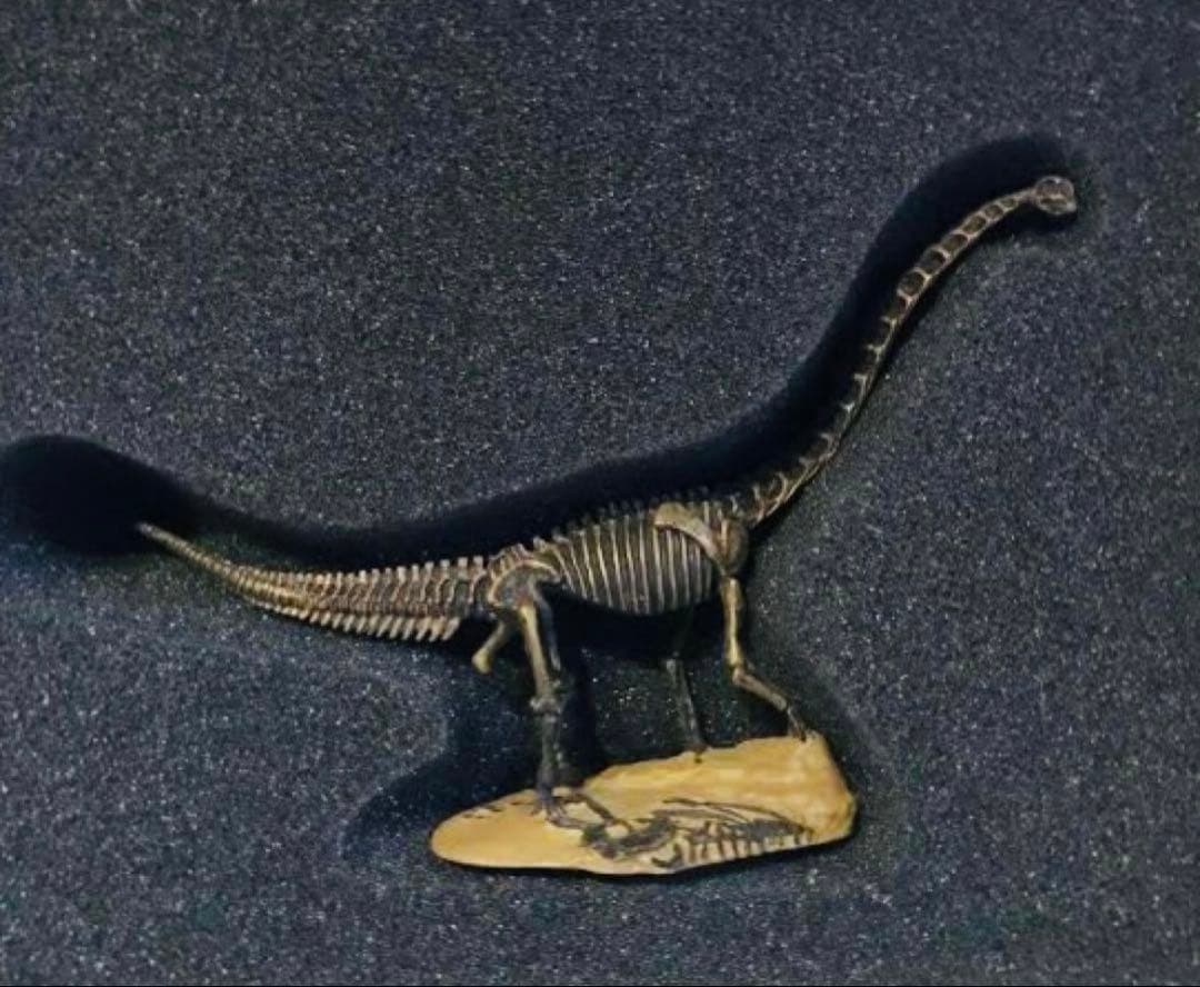 限定3体セット】海洋堂スーパーサウルス/SUE/チュアンジェサウルス恐竜