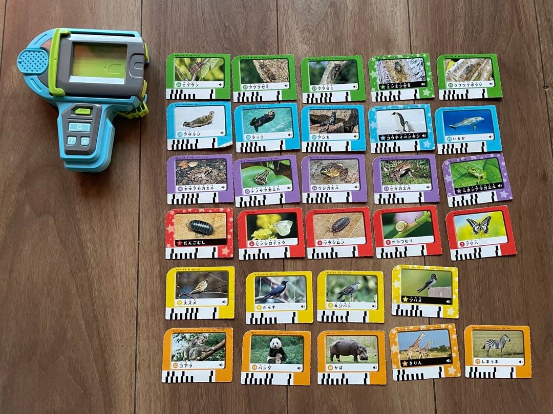 ほっぷ1年分＆すてっぷ1年分＆じゃんぷ10ヶ月分