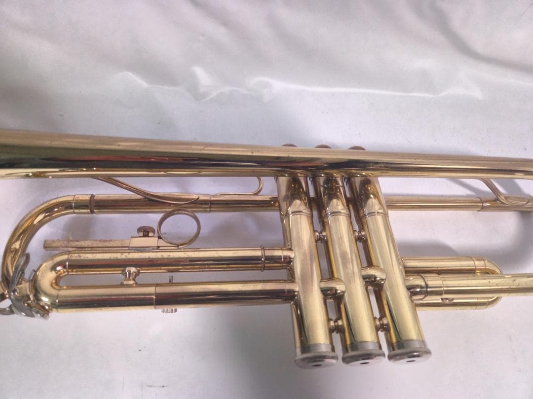 V.BachアルティザンE♭管 AE190GL 長谷川智之氏選定品 [中古] 2026年