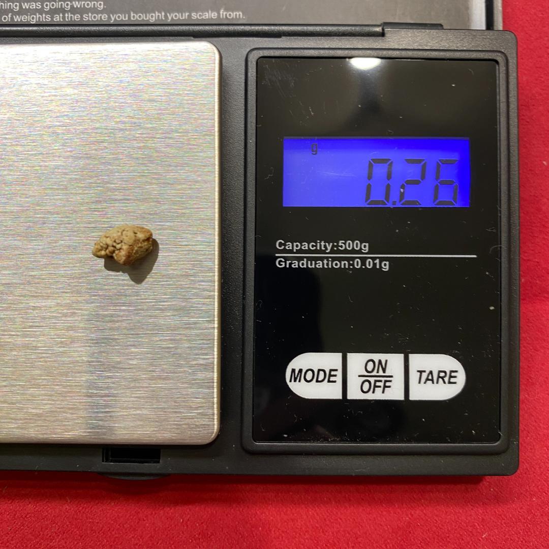 【超希少石】膵結石　超希少な膵結石　膵石　スイセキ　人体石標本資料