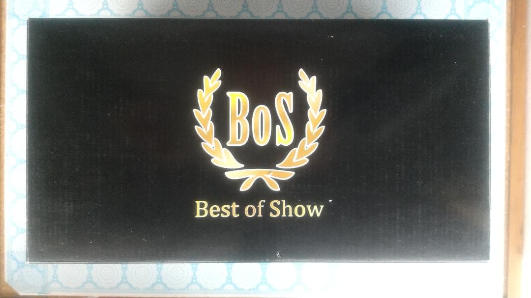 1/18 BoS タトラ -603 ベルリン 1969 ミニカー