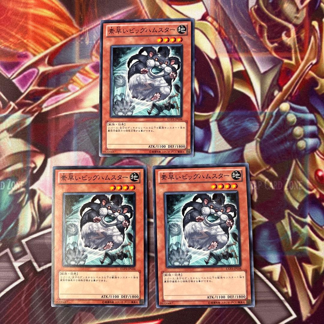 遊戯王 素早いビッグハムスター ノーマル 3枚セット d - メルカリ