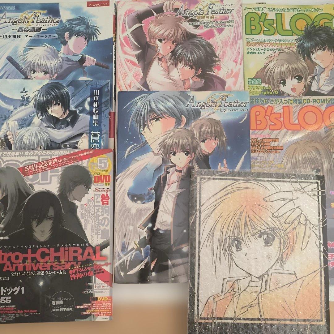 Angel's Feather，B's-LOG，Cool-B　コレクション Cool-B OnlineShop