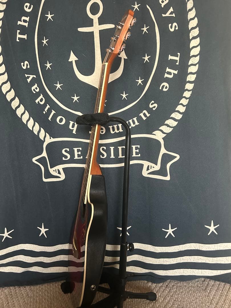 今月特価‼️90年代❣️ProMartinトラベルsizeエレアコ SEA350RS - メルカリ