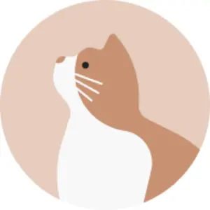 佐々木舞香 7周年 封入 猫衣装 生写真 イコラブ ＝LOVE - メルカリ